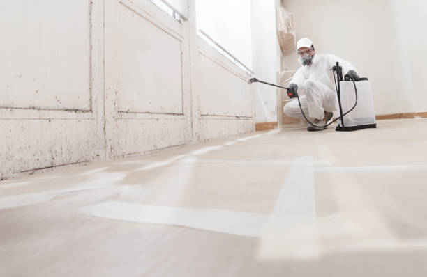 24/7 Emergency Mold Removal experts in Hopewell, NJ